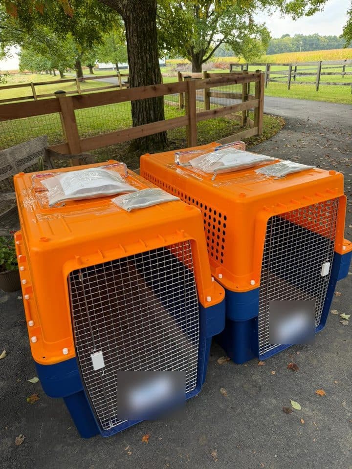 Two labelled crates prepared for an international flight
